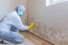 Best Environmental Consulting for Mold Prevention  in Boise, ID